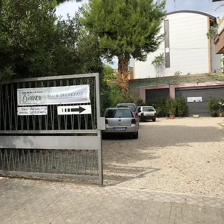 Gabbiano Bianco San Benedetto del Tronto