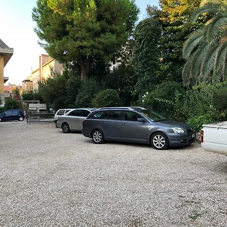 Gabbiano Bianco