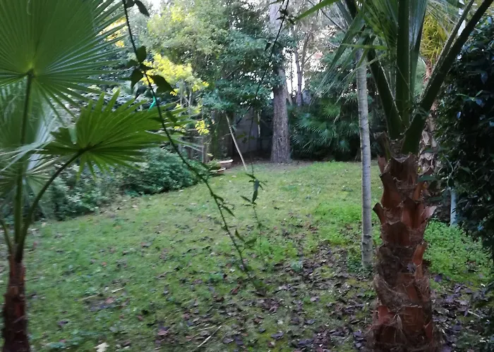 Szálloda Gabbiano Bianco