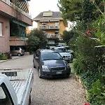 Gabbiano Bianco