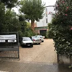 Gabbiano Bianco