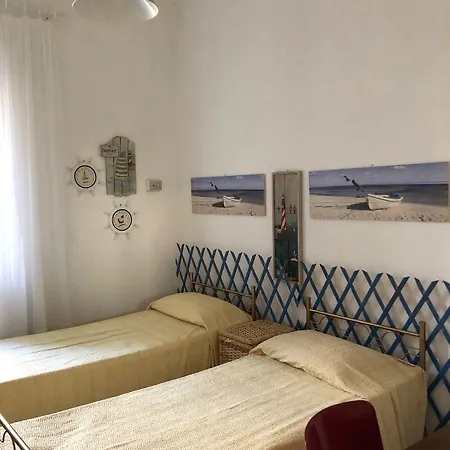 Gabbiano Bianco