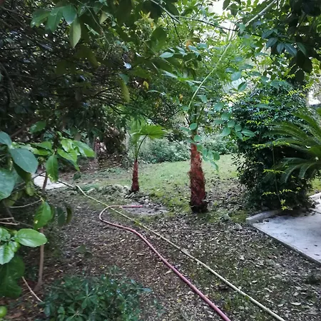 Gabbiano Bianco 3*