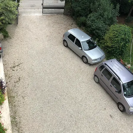 Gabbiano Bianco