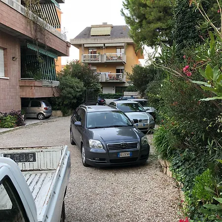 Gabbiano Bianco